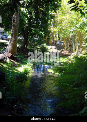 Parc Bougainville dans le centre de Papeete, Polynésie française. Banque D'Images