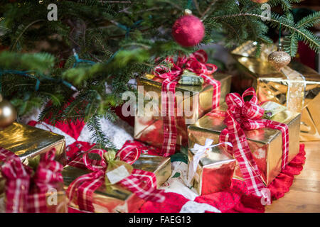 Cadeaux de Noël sous les arbres Banque D'Images