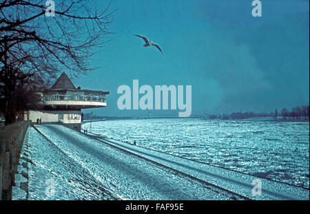 Eisschollen treiben auf dem Rhein à Köln mit Blick auf die Bastei, Deutschland 1950er Jahre. Des plaques de glace flottant sur le Rhin à Cologne avec vue de Bastei restaurant, l'Allemagne des années 1950. Banque D'Images