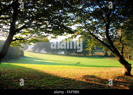 Les brouillards d'automne à l'abbaye des champs, Kenilworth, Warwickshire. Banque D'Images