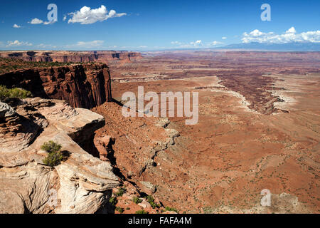 Avis de Buck Canyon Overlook vers Buck Canyon, paysage érodé, Island in the Sky, Canyonlands National Park, Utah, USA Banque D'Images