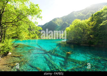 Lake à Jiuzhaigou, Sichuan, Chine Banque D'Images