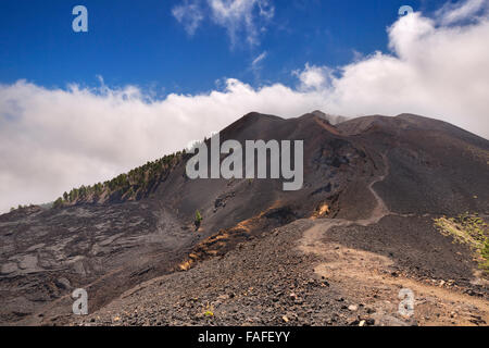 Paysage volcanique le long de la Ruta de los Volcanes sur La Palma, Îles Canaries, Espagne. Banque D'Images