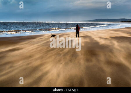 Femme et chien sur Plage avec sable Banque D'Images