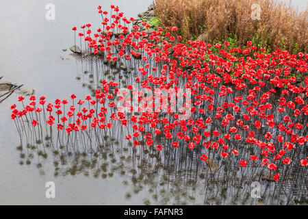 Coquelicots en céramique rouge faisant partie de 'Wave' installé temporairement au Yorkshire Sculpture Park, Wakefield, West Yorkshire UK Banque D'Images