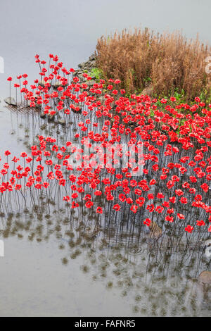 Coquelicots en céramique rouge faisant partie de 'Wave' installé temporairement au Yorkshire Sculpture Park, Wakefield, West Yorkshire UK Banque D'Images