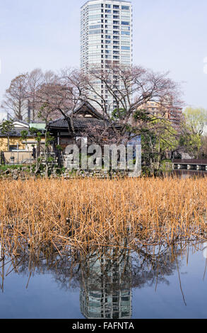 Reflet d'une tour de bassin Shinobazu, parc Ueno, Tokyo avec des maisons traditionnelles ci-dessous Banque D'Images