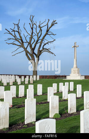 Pierres tombales blanches lors de la Première Guerre mondiale près de cimetière militaire Point Prowse, Ploegsteert Flandre occidentale, Belgique Banque D'Images