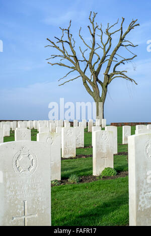 Pierres tombales blanches lors de la Première Guerre mondiale près de cimetière militaire Point Prowse, Ploegsteert Flandre occidentale, Belgique Banque D'Images