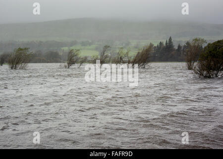 Fortes pluies ont causé beaucoup d'inondations au Hawes, Yorkshire du Nord Banque D'Images