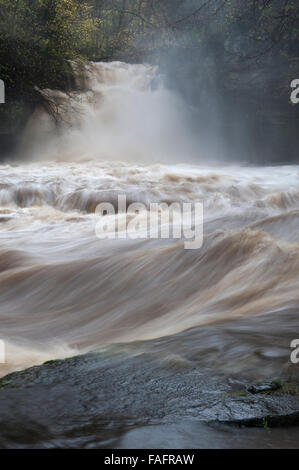 Chaudron Falls, West Burton dans Wensleydale en plein débit. Banque D'Images