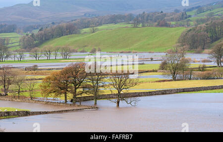 Les terres agricoles inondées le long de la rivière Ure près de Hawes dans la région de Wensleydale, Yorkshire du Nord. Banque D'Images