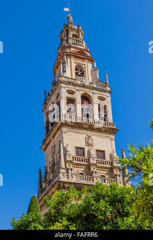 Torre del Alminar Clocher Mezquita Cordoba Andalousie Espagne. Créé en 785 comme une mosquée, a été converti en une Cathédrale Banque D'Images