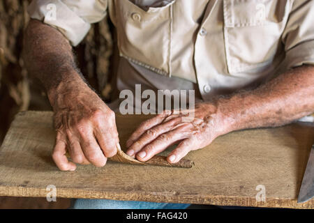 Cigare cubain Cuba roulant , fabricant de cigares roulés à la main Banque D'Images