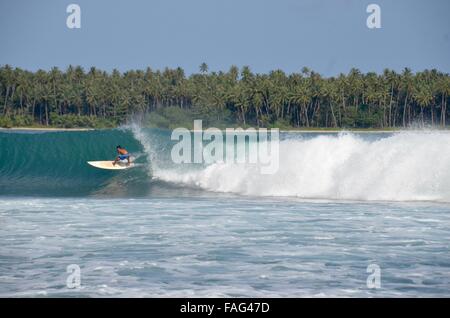 Nias surf Banque D'Images