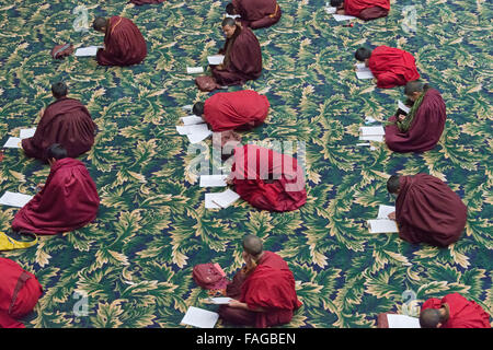 L'étude des écritures bouddhistes moines dans Seda Larong Institut bouddhiste Wuming, Garze, province du Sichuan, Chine Banque D'Images