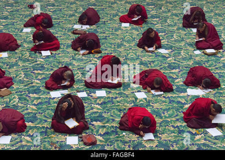 L'étude des écritures bouddhistes moines dans Seda Larong Institut bouddhiste Wuming, Garze, province du Sichuan, Chine Banque D'Images