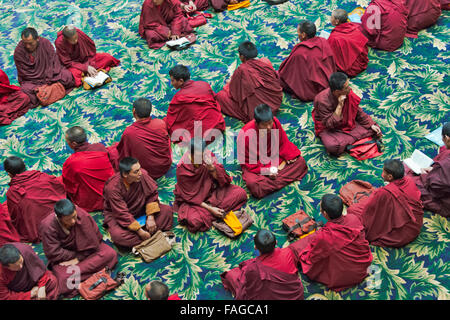 L'étude des écritures bouddhistes moines dans Seda Larong Institut bouddhiste Wuming, Garze, province du Sichuan, Chine Banque D'Images