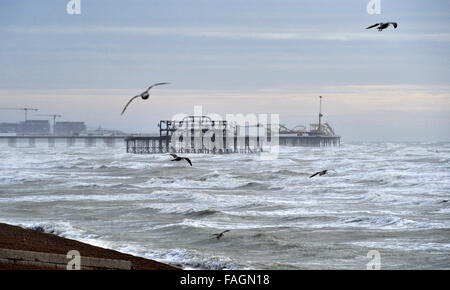 Brighton, Sussex, UK. Dec 30, 2015. Mouettes sur le glissement des vents forts avec Brighton West Pier et Palace Pier en arrière-plan sur la côte sud que Storm Frank hits le nord de la Grande-Bretagne aujourd'hui photographie prise par Simon Dack/Alamy Live News Banque D'Images