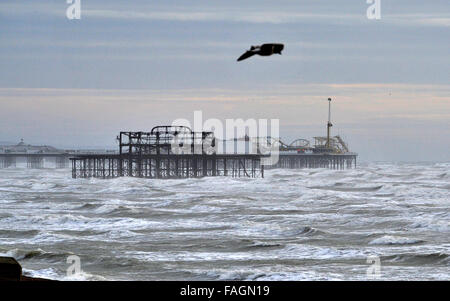 Brighton, Sussex, UK. Dec 30, 2015. Mouettes sur le glissement des vents forts avec Brighton West Pier et Palace Pier en arrière-plan sur la côte sud que Storm Frank hits le nord de la Grande-Bretagne aujourd'hui photographie prise par Simon Dack/Alamy Live News Banque D'Images