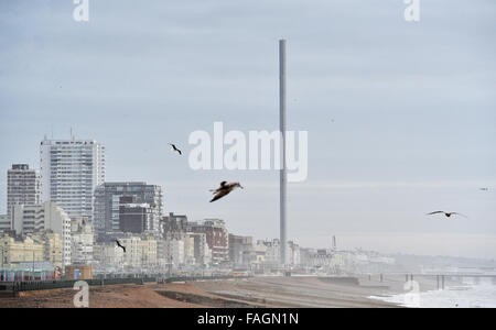 Brighton, Sussex, UK. Dec 30, 2015. Mouettes sur le glissement des vents violents avec le front de mer de Brighton et j360 tour d'observation à l'arrière-plan sur la côte sud que Storm Frank hits le nord de la Grande-Bretagne aujourd'hui photographie prise par Simon Dack/Alamy Live News Banque D'Images