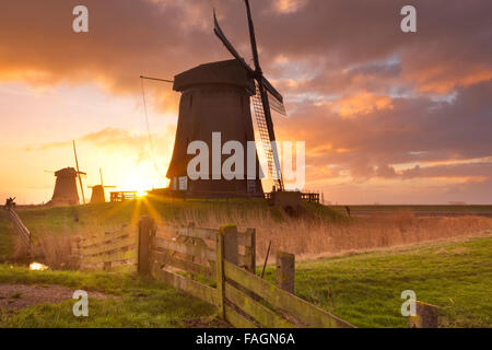 Moulins à vent traditionnel néerlandais au lever du soleil près de Schermerhorn aux Pays-Bas. Banque D'Images