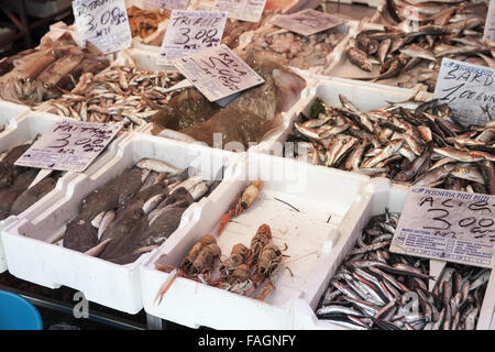 Naples, Italie - 9 août 2015 : différents types de poissons et fruits de mer jeter sur le comptoir du marché de la rue de Naples, Italie Banque D'Images