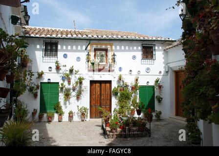 De jolies fleurs en pot sur le mur de la maison dans le quartier Barrio la Villa de Priego de Córdoba, Cordoue, Province, Andalusia, Spain. Banque D'Images