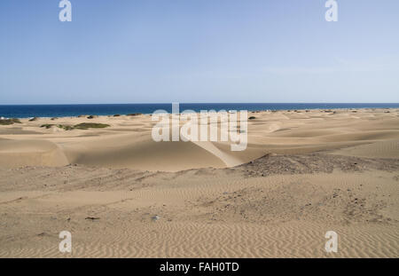 La plage de Las Dunas de Maspalomas, Gran Canaria, Îles Canaries Banque D'Images
