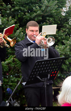 Le brass band jouant des chants de Noël par un arbre de Noël, Jimmy's Farm, Wherstead, Ipswich, Suffolk, UK, Décembre 2015 Banque D'Images