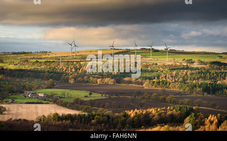 Vue vers la fosse Four Hill sur la bordure sud de Northumberland Banque D'Images