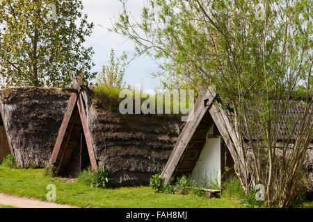 Maisons reconstruites au musée Viking openair de Trelleborg, Slagelse, Danemark, Nouvelle-Zélande Banque D'Images