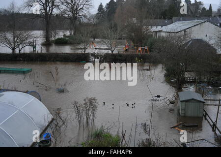 Dunkeld, Perthshire, Écosse, Royaume-Uni. Des inondations locales pendant les Frank. Credit : Cameron Cormack/Alamy Live News Banque D'Images