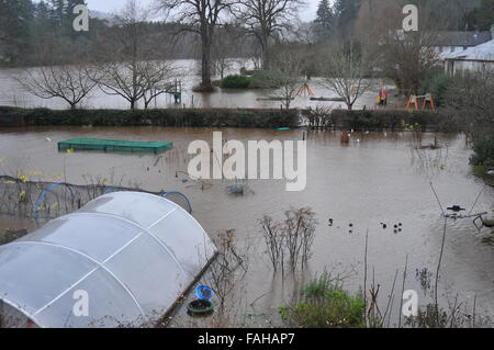 Dunkeld, Perthshire, Écosse, Royaume-Uni. Des inondations locales pendant les Frank. Credit : Cameron Cormack/Alamy Live News Banque D'Images