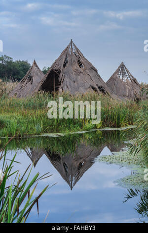 Parc Naturel de Comana, Roumanie Banque D'Images