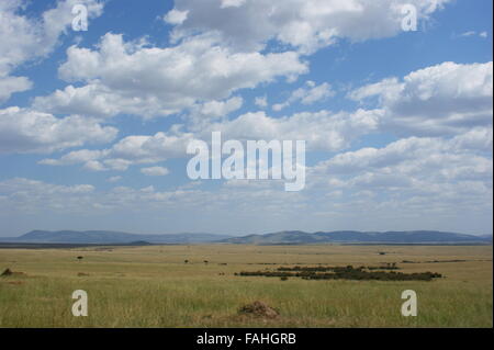 Nuages sur le Masai Mara. La réserve de Masai Mara, Kenya, plaines du Serengeti du Nord, Afrique de l'Est Banque D'Images