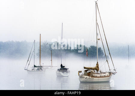 Trois bateaux amarrés dans Robin des Bois Cove sur un matin brumeux Banque D'Images