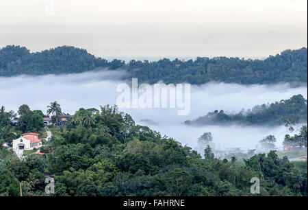 Paysage enveloppé de tôt le matin à Gayaratau vers Kampung prises de Tamparuli Kundasang road. Sabah Malaisie Bornéo Banque D'Images