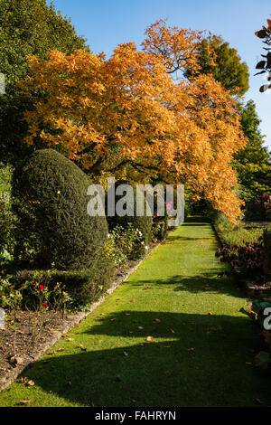 La couleur en automne à la cour jardin à Holt près de Bradford on Avon Witshire UK un bel exemple de l'anglais garden design Banque D'Images