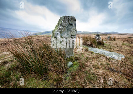 Lui dit Pierre Maen rangée sur la lande au-dessus de Glyntawe dans la vallée de Swansea, Pays de Galles du sud de Brecon Beacons UK Banque D'Images