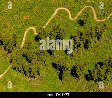 Vue aérienne, chemin tortueux, pré, conifères, pins, chemin de montagne en boucle à la lande à Dieulefit, Rothaarhills, Banque D'Images