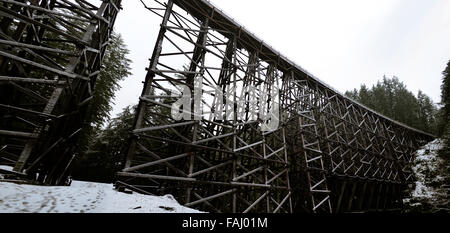 Le pont sur chevalets Kinsol vue panoramique de l'île de Vancouver,Canada Banque D'Images