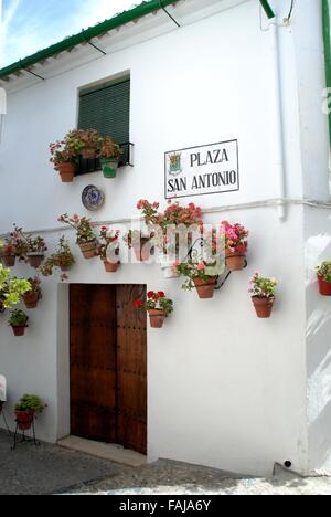 De jolies fleurs en pot sur le mur de la maison dans la Plaza San Antonio dans le Barrio la Villa district, Priego de Cordoba, Espagne. Banque D'Images