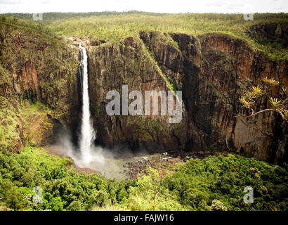 Wallaman Falls un 268 mètres de haut cascade dans le Parc National de Girringun Queensland Australie Banque D'Images