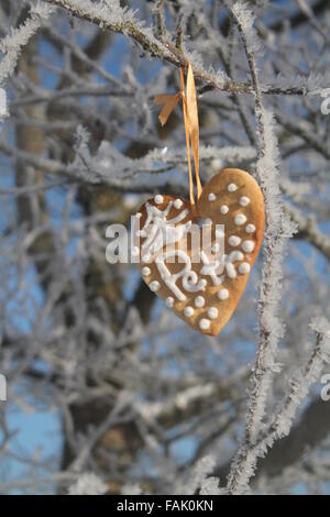 Biscuit de Noël doux en forme de coeur accrocher sur l'arbre d'hiver Banque D'Images