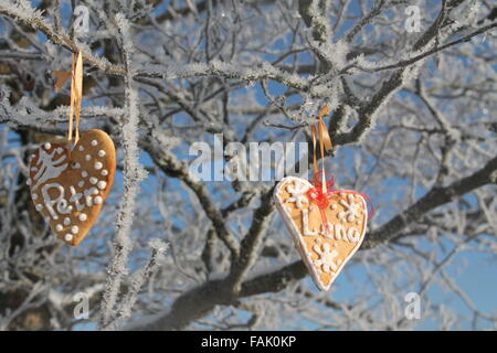 Deux sweet cookies en forme de cœur accrocher sur l'arbre d'hiver en journée ensoleillée Banque D'Images