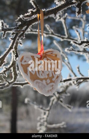 Sweet cookie en forme de coeur accrocher sur l'arbre d'hiver Banque D'Images