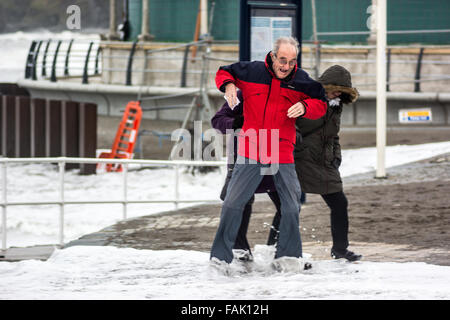 Aberystwyth, Pays de Galles, Royaume-Uni. 31 Dec, 2015. Regarder les gens d'énormes vagues batter le littoral mais se mouiller les pieds car ils sont pris au dépourvu. Credit : Trebuchet Photography/Alamy Live News Banque D'Images