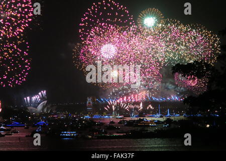 D'artifice du Nouvel An , Sydney, Australie le 31 décembre 2015 Banque D'Images