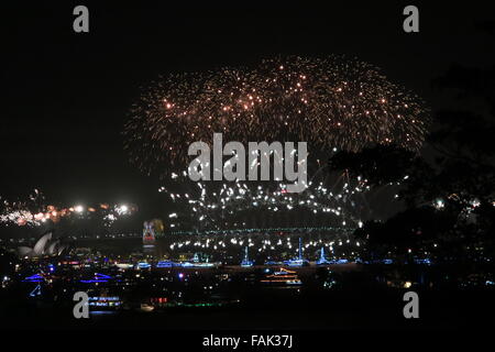 D'artifice du Nouvel An , Sydney, Australie le 31 décembre 2015 Banque D'Images